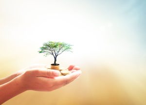a hand holding a small tree on top of a pile of coins.